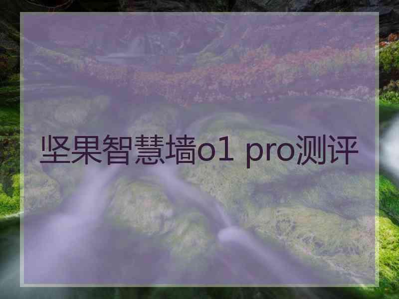 坚果智慧墙o1 pro测评