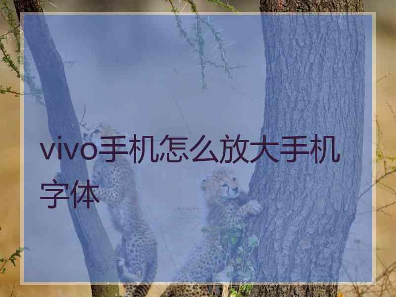 vivo手机怎么放大手机字体