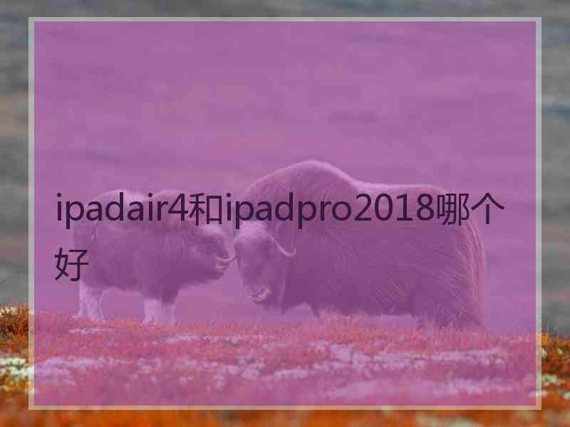 ipadair4和ipadpro2018哪个好