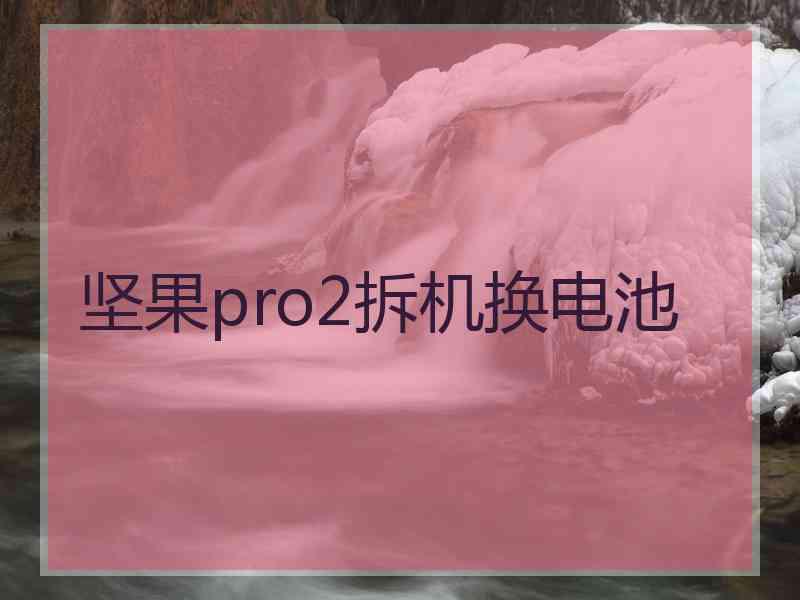 坚果pro2拆机换电池