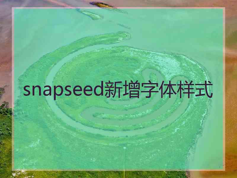 snapseed新增字体样式