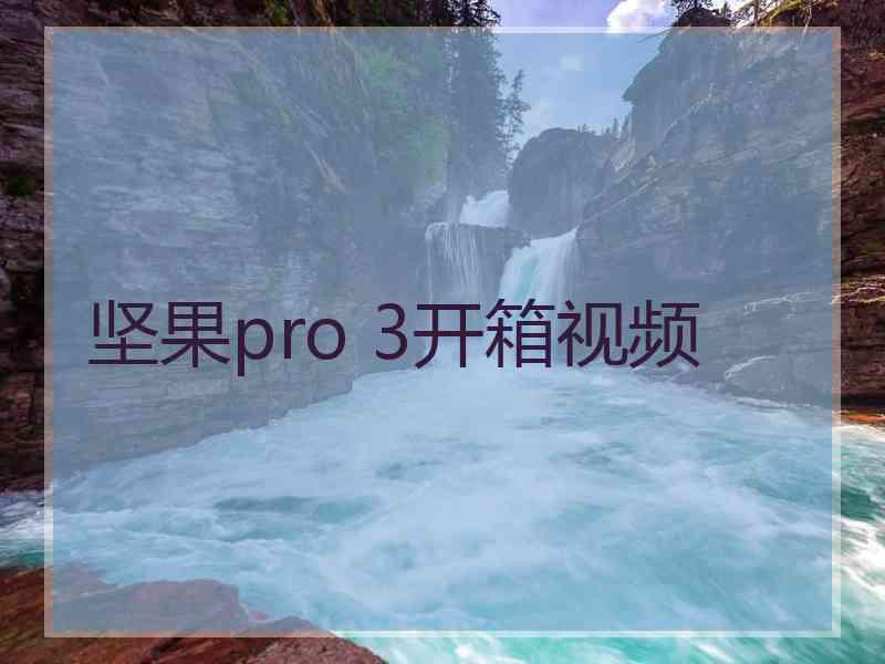 坚果pro 3开箱视频