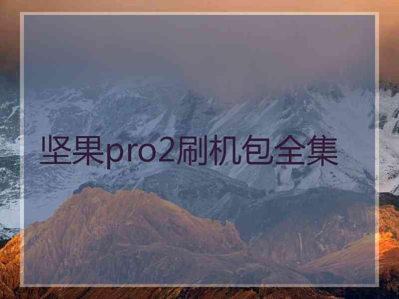 坚果pro2刷机包全集