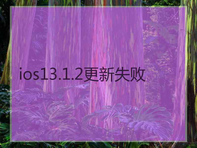 ios13.1.2更新失败