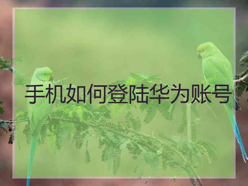 手机如何登陆华为账号