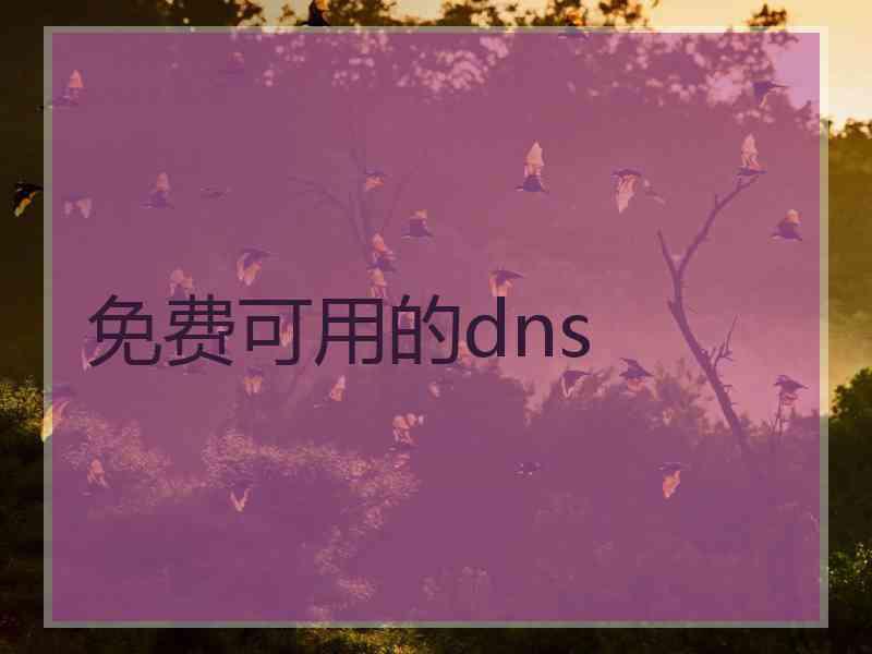 免费可用的dns