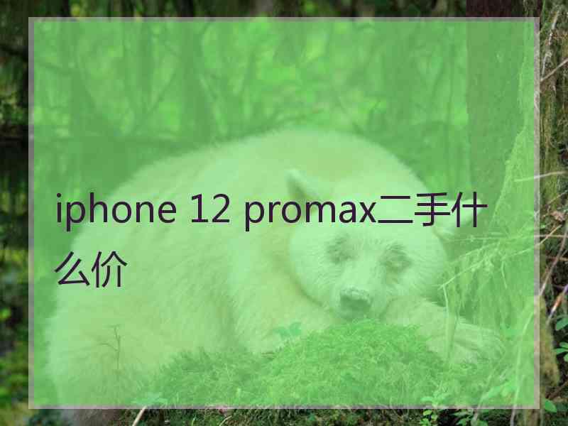 iphone 12 promax二手什么价