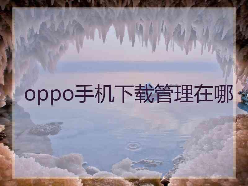 oppo手机下载管理在哪