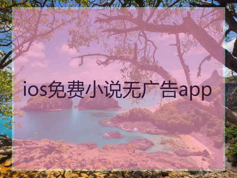 ios免费小说无广告app