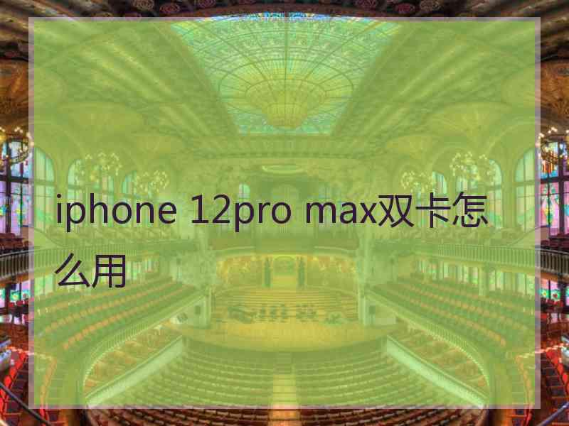 iphone 12pro max双卡怎么用