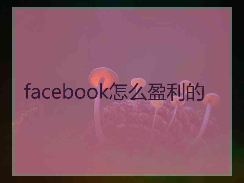 facebook怎么盈利的