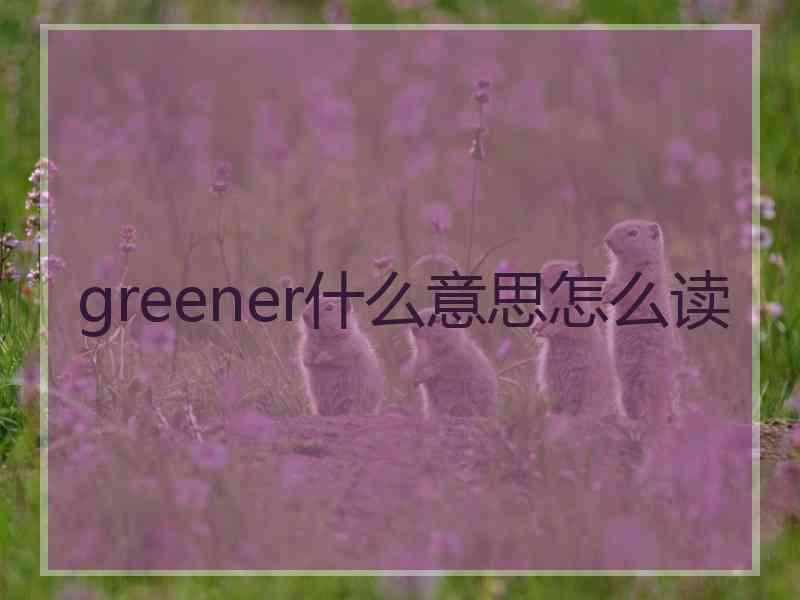 greener什么意思怎么读