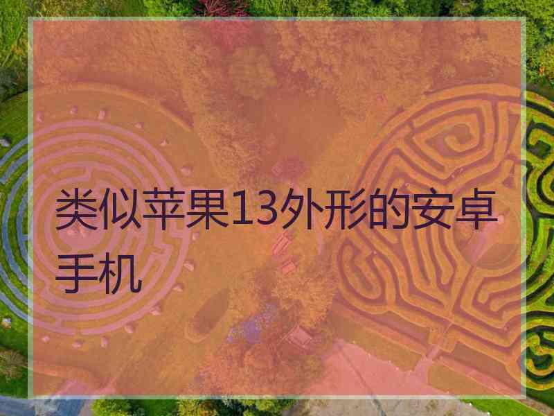 类似苹果13外形的安卓手机