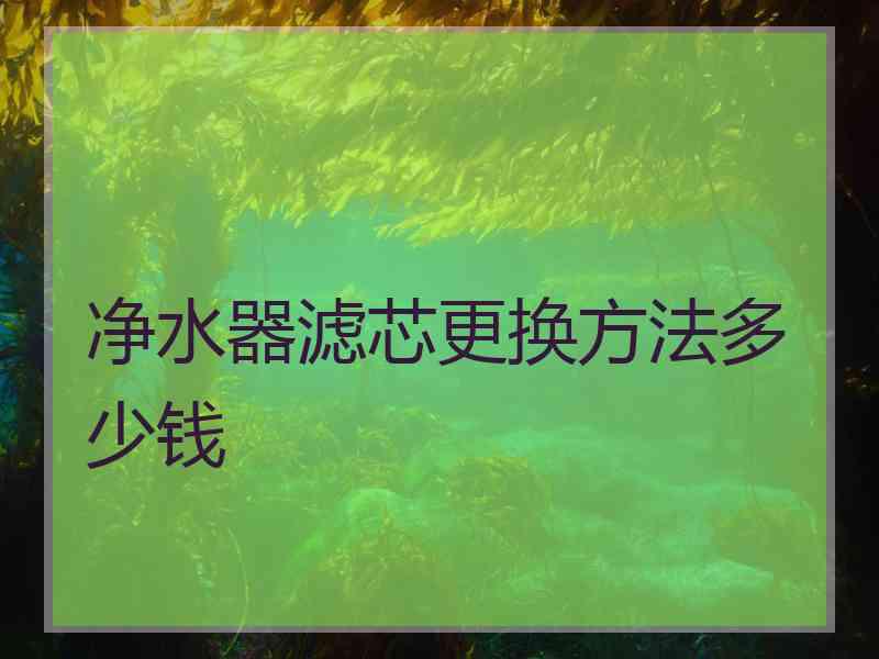 净水器滤芯更换方法多少钱