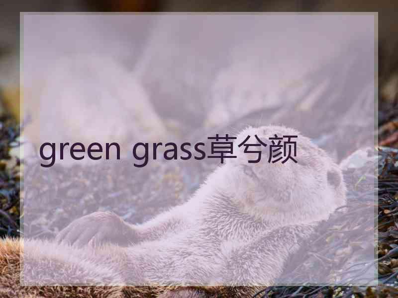 green grass草兮颜