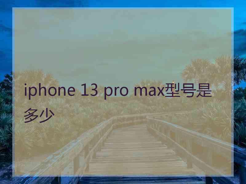 iphone 13 pro max型号是多少