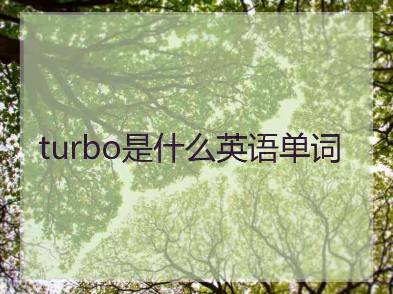 turbo是什么英语单词