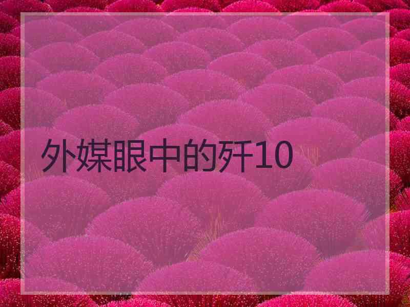 外媒眼中的歼10