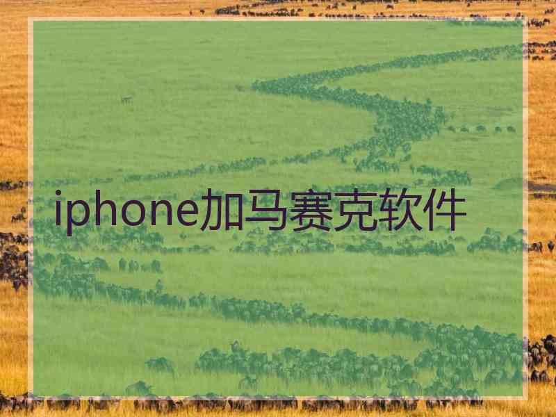 iphone加马赛克软件