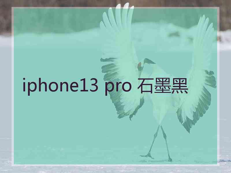 iphone13 pro 石墨黑