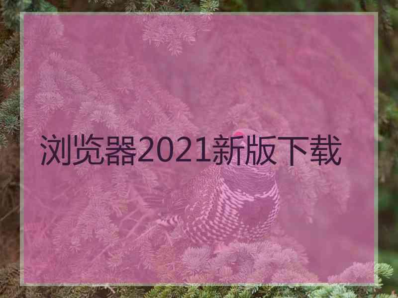 浏览器2021新版下载