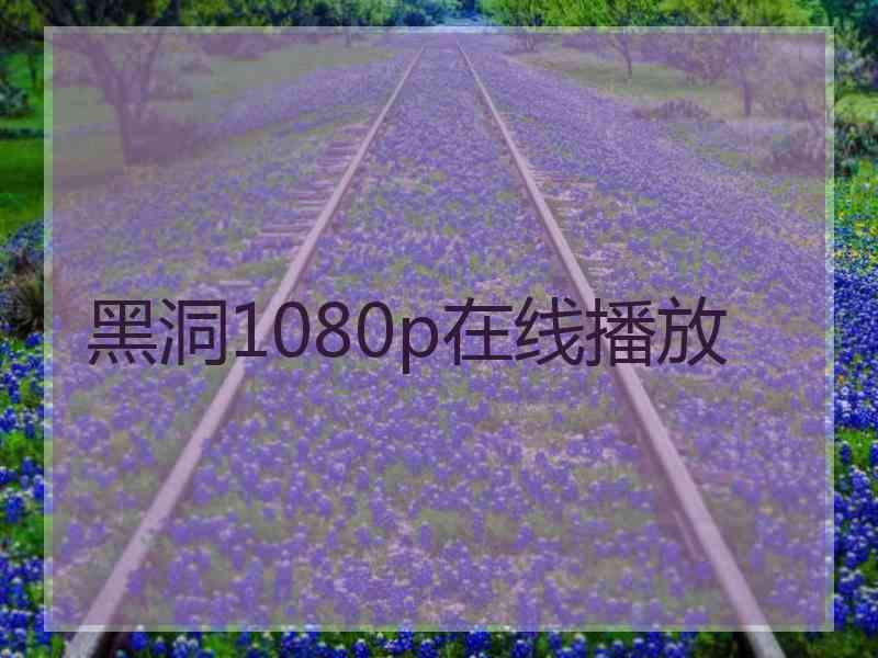 黑洞1080p在线播放