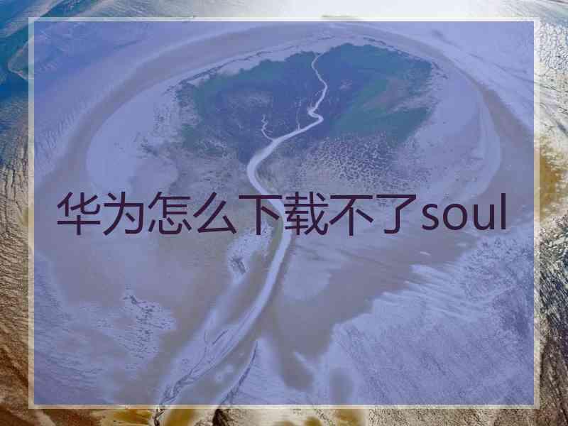 华为怎么下载不了soul