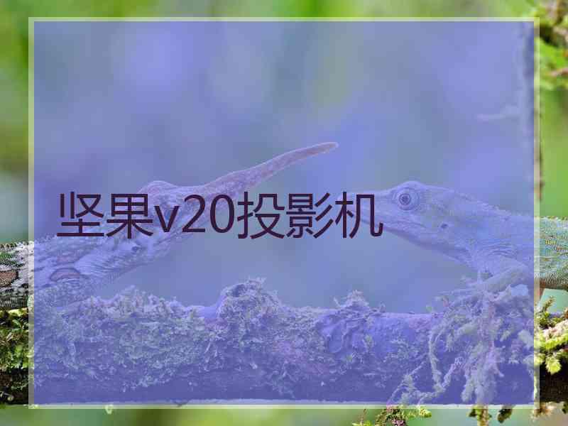 坚果v20投影机