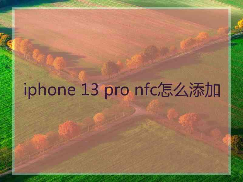 iphone 13 pro nfc怎么添加