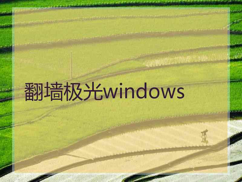 翻墙极光windows