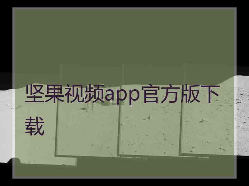 坚果视频app官方版下载