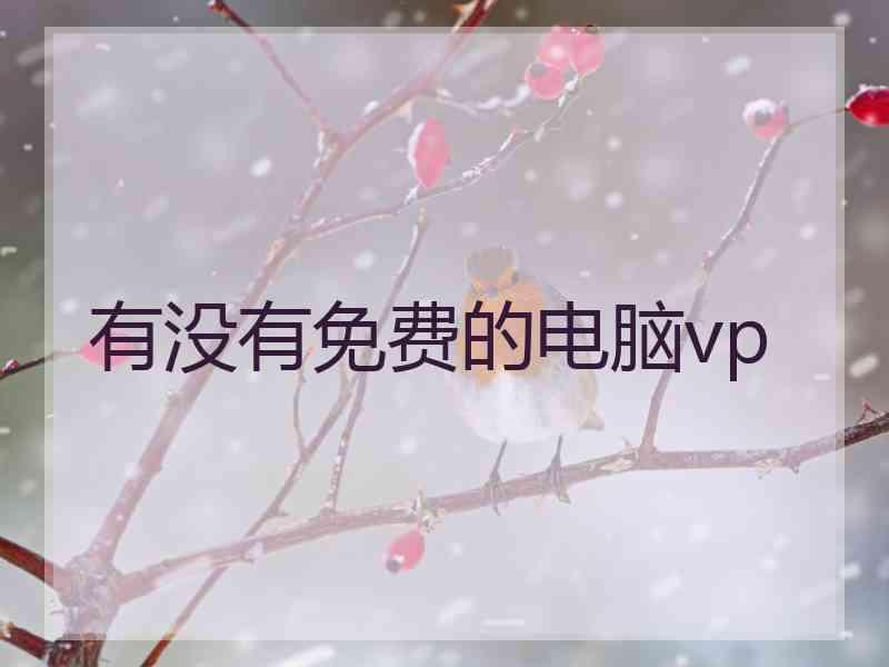 有没有免费的电脑vp