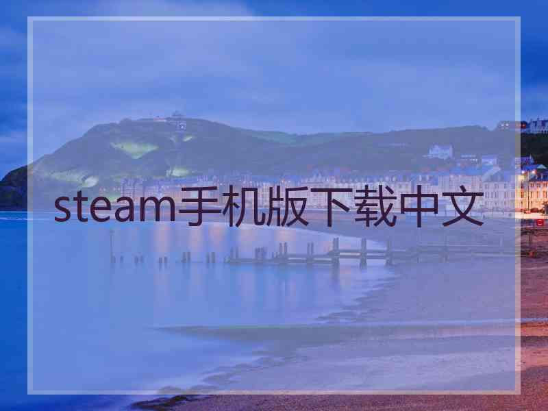 steam手机版下载中文