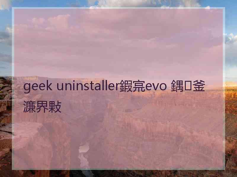 geek uninstaller鍜宺evo 鍝釜濂界敤