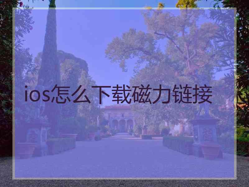 ios怎么下载磁力链接