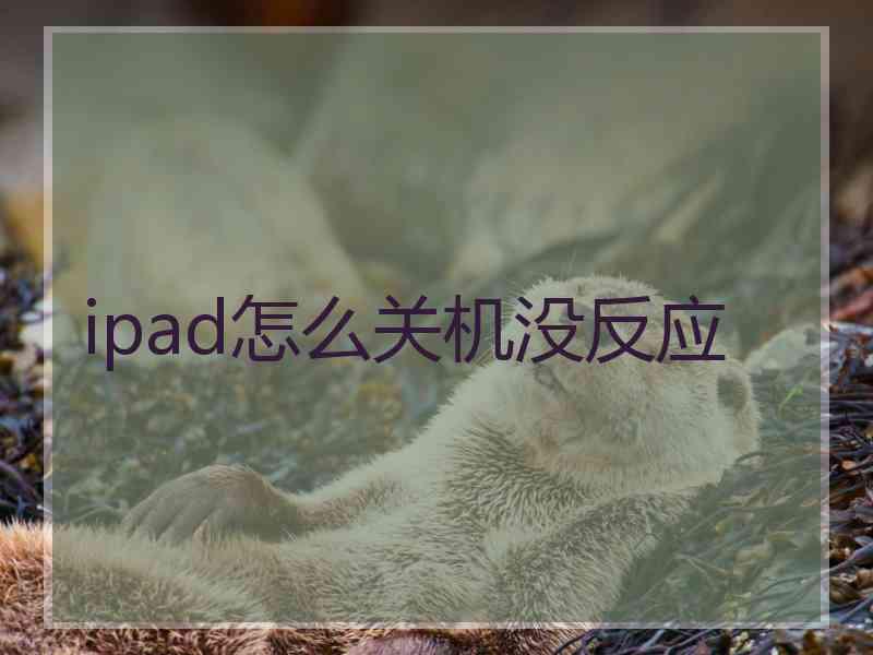 ipad怎么关机没反应