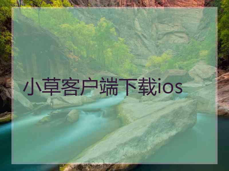 小草客户端下载ios