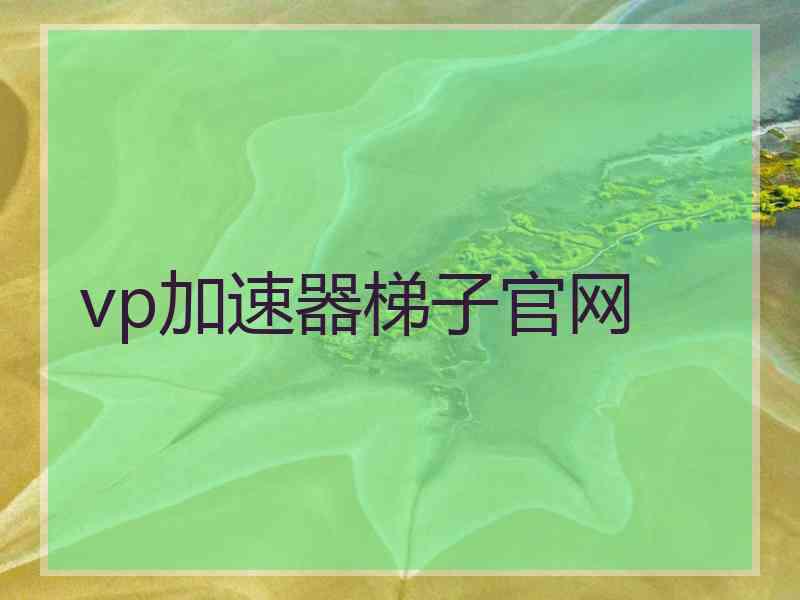 vp加速器梯子官网