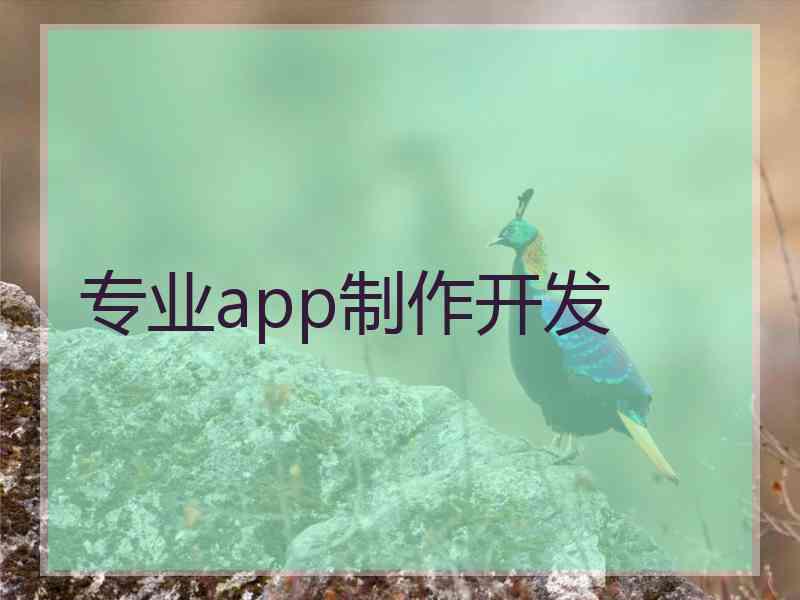 专业app制作开发