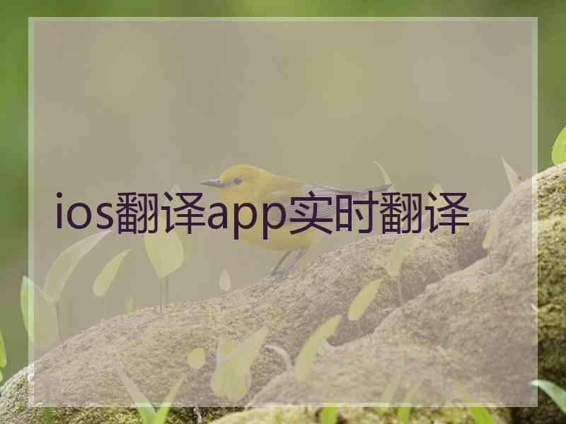 ios翻译app实时翻译