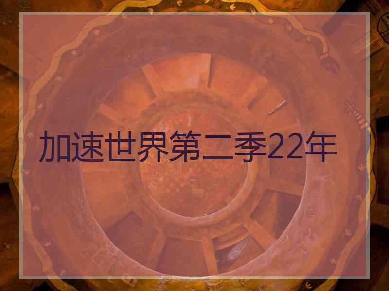 加速世界第二季22年