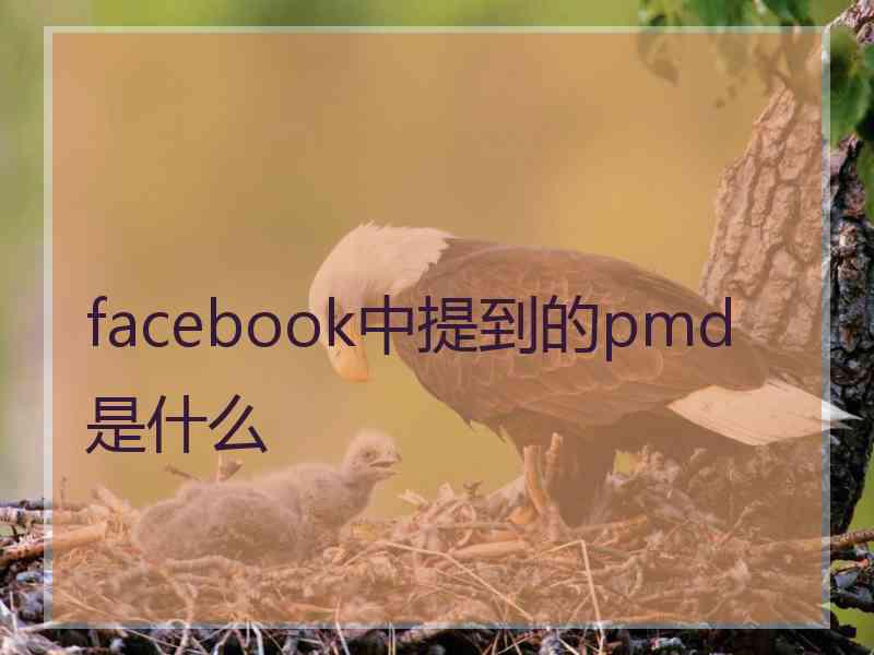 facebook中提到的pmd是什么