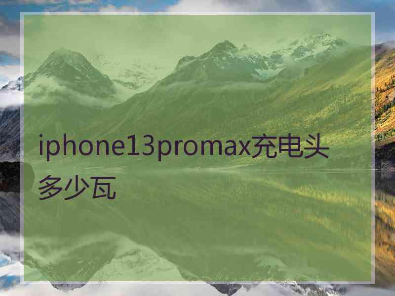 iphone13promax充电头多少瓦