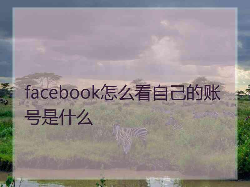 facebook怎么看自己的账号是什么