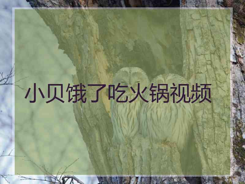 小贝饿了吃火锅视频