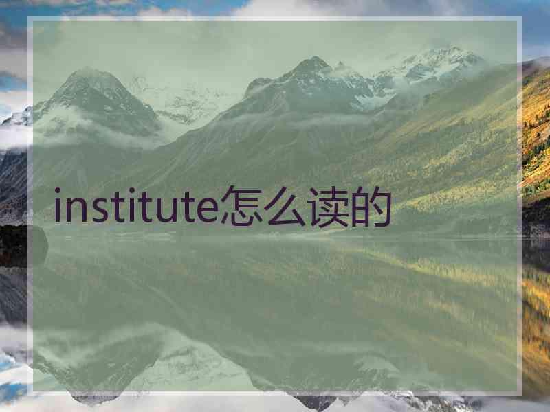 institute怎么读的