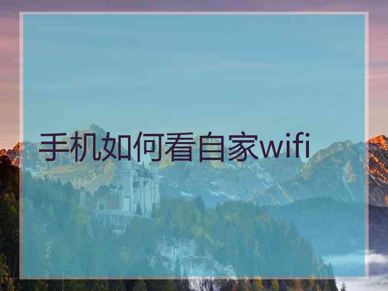 手机如何看自家wifi