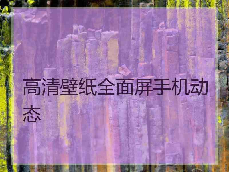 高清壁纸全面屏手机动态