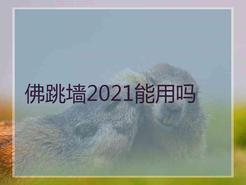 佛跳墙2021能用吗