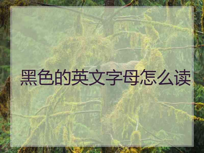 黑色的英文字母怎么读